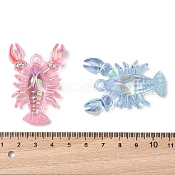 Electroplate Transparent UV Plating  Acrylic Big Pendants&nbsp;OACR-I014-10
