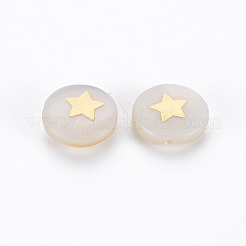 Natural Freshwater Shell Beads&nbsp;SHEL-N003-22-05
