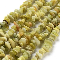 Natural Lemon Jade Chip Bead Strands&nbsp;G-M205-22