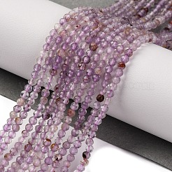 Natural Purple Phantom Quartz Purple Lodolite Quartz Beads Strands&nbsp;G-A235-A01-01