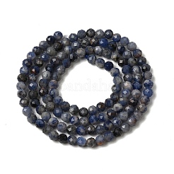 Natural Sodalite Beads Strands&nbsp;G-L653-B02-3mm-02