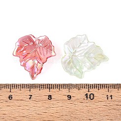 Transparent Acrylic Pendants&nbsp;OACR-N149-02