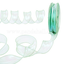 Polyester Lace Trim&nbsp;DIY-TAC0010-51-1