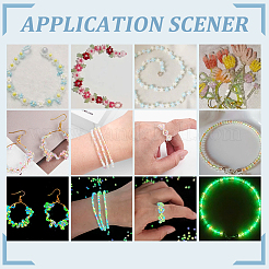 24 Styles Luminous Glass Seed Beads&nbsp;SEED-PH0001-72
