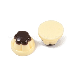 Resin Cabochons&nbsp;RESI-H034-40H