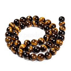Natural Tiger Eye Beads Strands&nbsp;G-J303-11-8mm