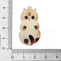 Acrylic Pendants&nbsp;LS-OACR-B023-01B-06