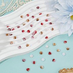 200Pcs 4 Colors Flower Resin Cabochons&nbsp;MRMJ-CY0001-01