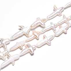 Natural Keshi Pearl Beads Strands&nbsp;PEAR-S020-M04