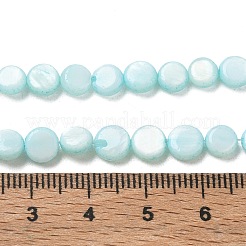 Natural Freshwater Shell Coin Beads Strands&nbsp;SH-CBACA76-17B
