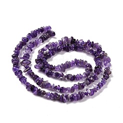 Natural Amethyst Chip Bead Strands&nbsp;G-M205-58