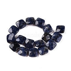 Natural Sodalite Beads Strands&nbsp;G-T138-169
