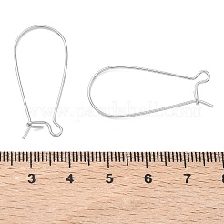 SHEGRACE Brass Kidney Ear Wire&nbsp;XGR0004P-43P