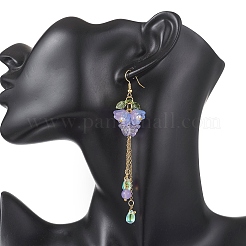 Transparent Two Tone Spray Painted Glass & Acrylic Dangle Earrings&nbsp;EJEW-JE06923