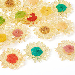 14Pcs 7 Colors Translucent Resin Pendants&nbsp;RESI-TA0003-40