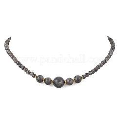 Natural Larvikite Round Graduated Beaded Necklaces&nbsp;NJEW-JN05654-03