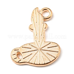 Alloy Enamel Pendants&nbsp;LS-ENAM-G218-A01