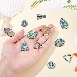 10Pcs 5 Styles Natural Paua Shell Cabochons&nbsp;FIND-GA0004-93