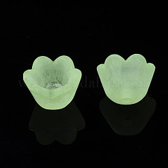 Transparent Acrylic Beads&nbsp;X-FACR-N005-001