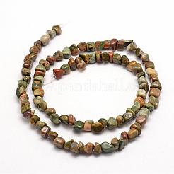 Natural Rhyolite Jasper Beads Strands&nbsp;G-F465-02