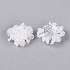 Frosted Transparent Acrylic Cabochons&nbsp;AC-N177-01B-01