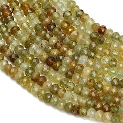 Natural Green Garnet Beads Strands&nbsp;GG-CBA77FB-C01-01