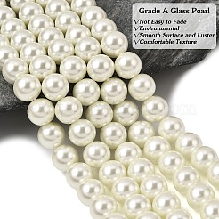 Eco-Friendly Dyed Glass Pearl Round Beads Strands&nbsp;HY-A002-10mm-RB011