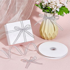 Nylon Ribbon&nbsp;OCOR-WH20022-016B