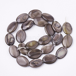 Freshwater Shell Beads Strands&nbsp;SHEL-S274-37A