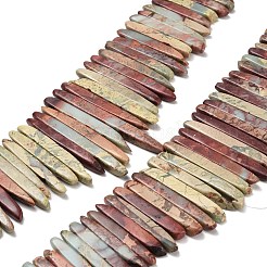 Natural Aqua Terra Jasper Beads Strands&nbsp;G-Z110-D01