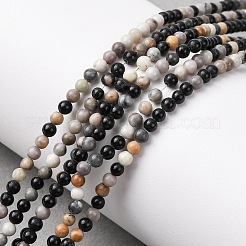 Natural Picasso Jasper Beads Strands&nbsp;G-Z116-A07-3mm