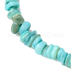 Dyed Natural Freshwater Shell Nuggets Beaded Anklets&nbsp;AJEW-AN00746-02