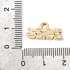 Alloy Enamel Pendants&nbsp;ENAM-D319-01KCG-03