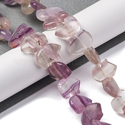Natural Purple Fluorite Beads Strands&nbsp;G-F783-G04-01