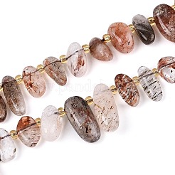 Natural Black Gold Rutilated Quartz Beads Strands&nbsp;G-Z091-A29
