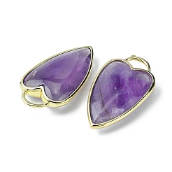 Natural Amethyst Pendants&nbsp;G-O204-02G