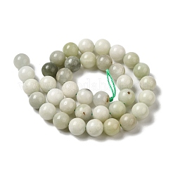 Natural Jade Beads Strands&nbsp;G-H298-A16-04