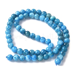 Natural Apatite Beads Strands&nbsp;G-I254-08H