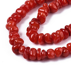 Natural Freshwater Shell Beads Strands&nbsp;X-SHEL-S278-041