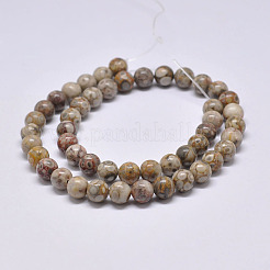 Natural Maifanite/Maifan Stone Beads Strands&nbsp;X-G-F353-4mm