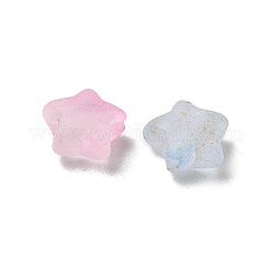 Frosted Acrylic Charms&nbsp;OACR-M023-04G