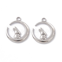 Non-Tarnish 304 Stainless Steel Pendants&nbsp;LS-STAS-K242-01P