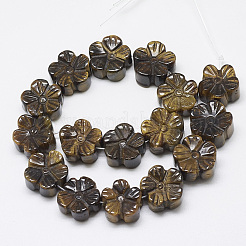Carved Natural Tiger Eye Beads Strands&nbsp;G-T122-08A