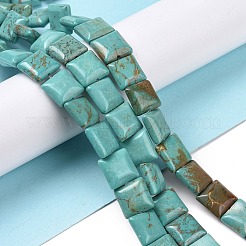 Natural Magnesite Beads Strands&nbsp;TURQ-K003-06A