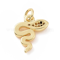 Brass Micro Pave Cubic Zirconia Charms&nbsp;KK-C012-16G