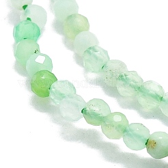 Natural Chrysoprase Beads Strands&nbsp;G-P457-A01-23