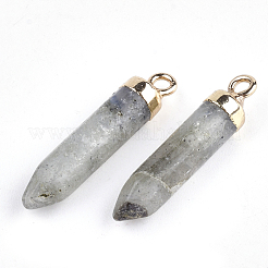 Electroplate Natural Labradorite Pointed Pendants&nbsp;G-S344-07C