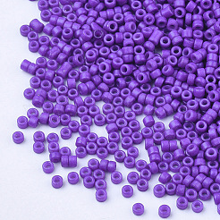 Baking Paint Cylinder Seed Beads&nbsp;SEED-Q036-02A-D08