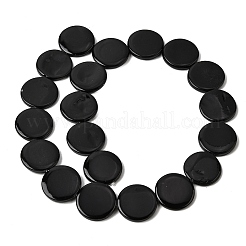 Natural Freshwater Shell Beads Strands&nbsp;SHEL-A006-01B