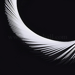 Goose Feather Costume Accessories&nbsp;FIND-T037-09L
